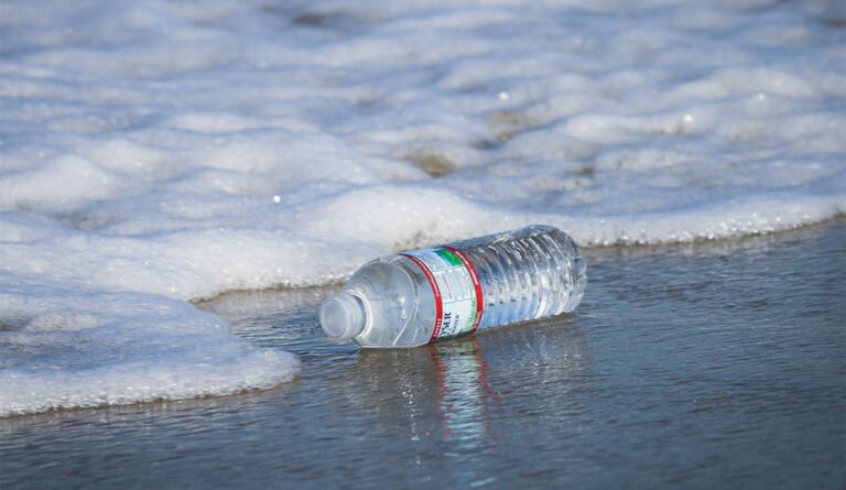 Plastic pollution: ಪ್ಲಾಸ್ಟಿಕ್ ಬಾಟಲಿ ನೀರು ಮತ್ತು ರಕ್ತದೊತ್ತಡ: ಒಂದು ಆತಂಕಕಾರಿ ಸಂಬಂಧ