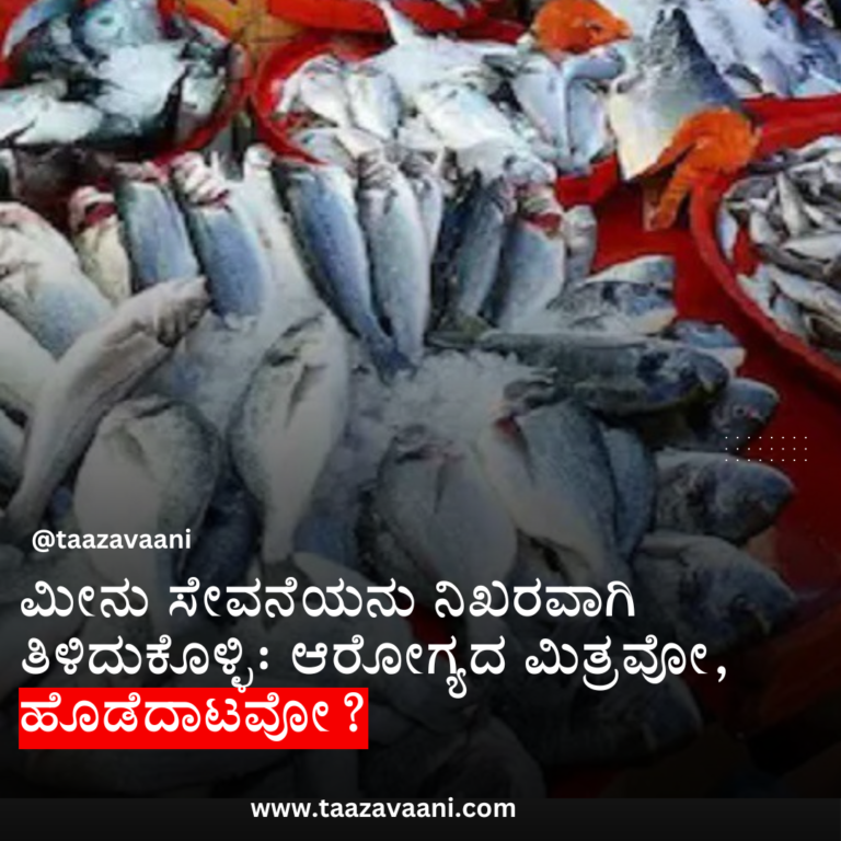 ALERT : ‘ಫಿಶ್’ ಪ್ರಿಯರಿಗೆ ಶಾಕಿಂಗ್ ನ್ಯೂಸ್ : ಈ 6 ಮೀನುಗಳ ಸೇವನೆ ಆರೋಗ್ಯಕ್ಕೆ ಡೇಂಜರ್!